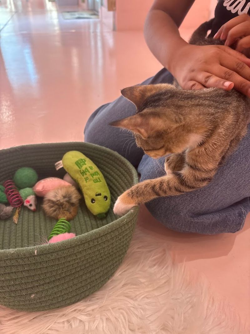 Reservations Are a Must