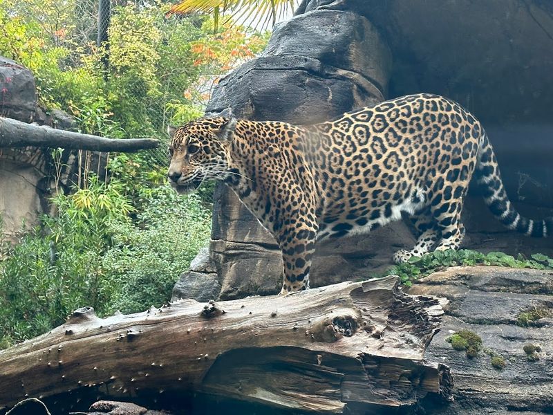 Woodland Park Zoo (Washington)