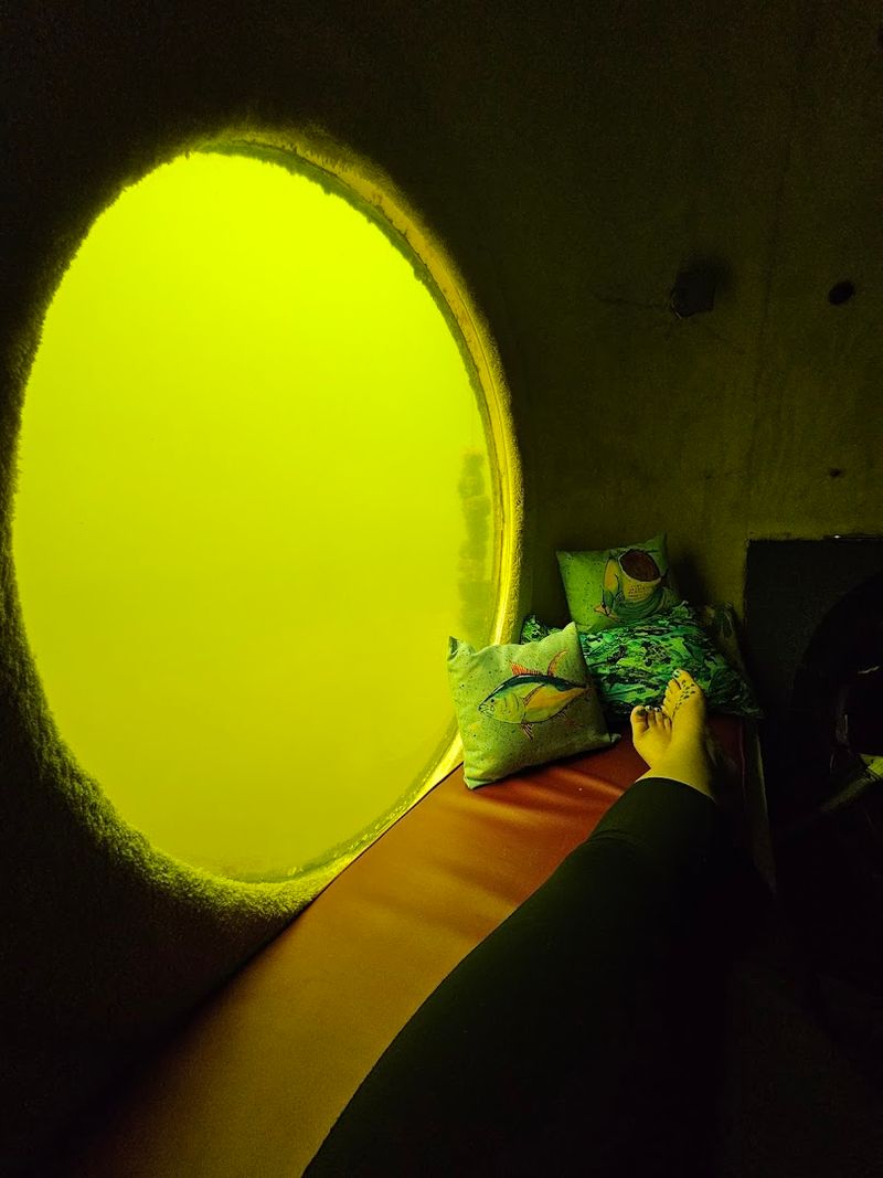 Why This Experience Stays With You Long After You Surface