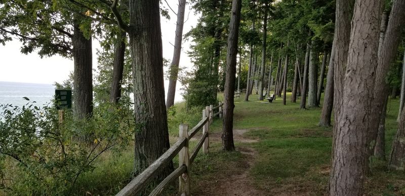 Practical Tips That Make the Visit Go Smoothly