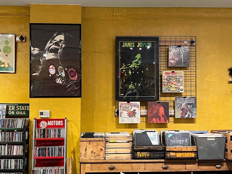 The Vinyl Collection That Keeps Collectors Coming Back