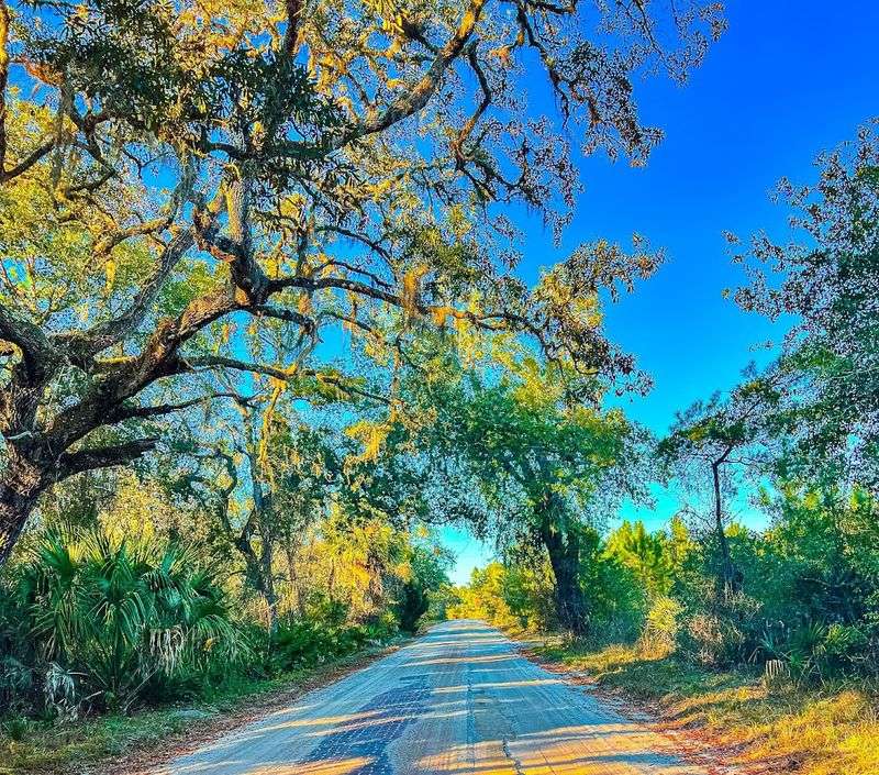 The Scenery Along the Way