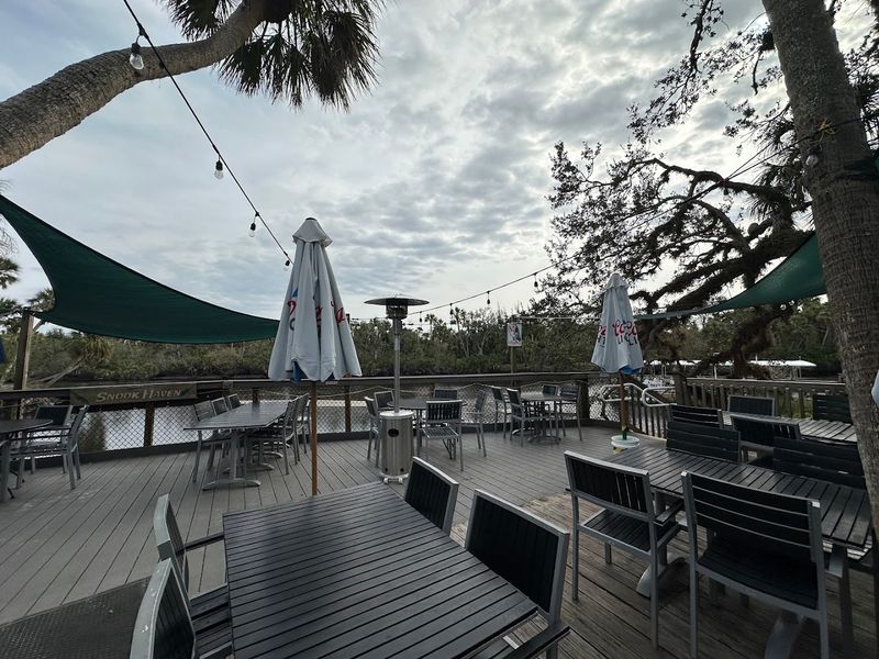 Wildlife Encounters Around the Property