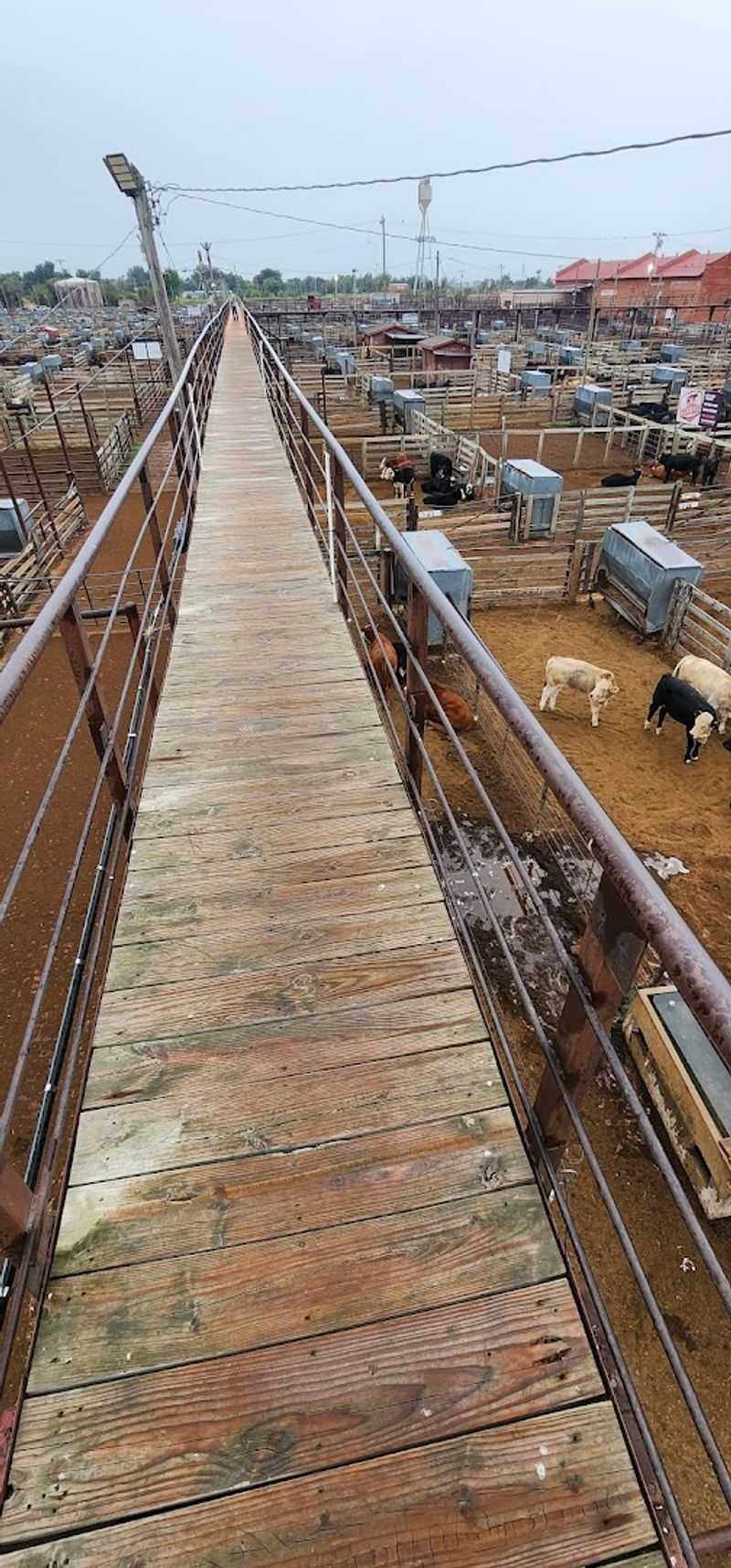 The Guided Tour Experience