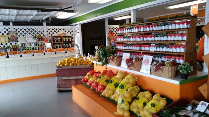 Shipping Fresh Citrus to Family and Friends