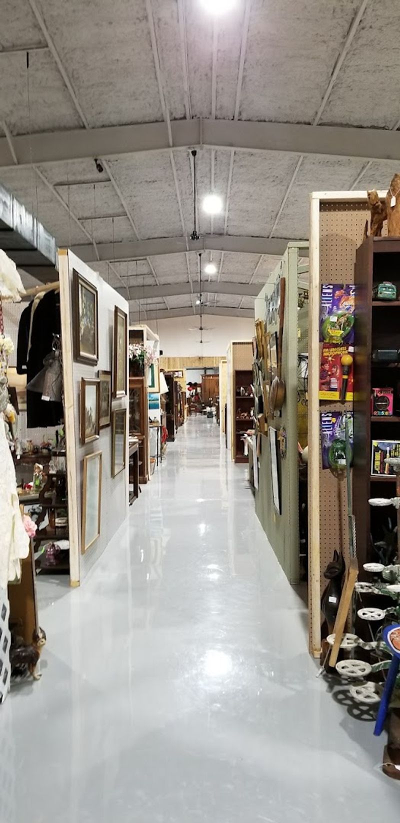 The Cleanliness and Organization of the Space