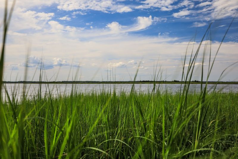 Guided Nature Walks and Seasonal Programming