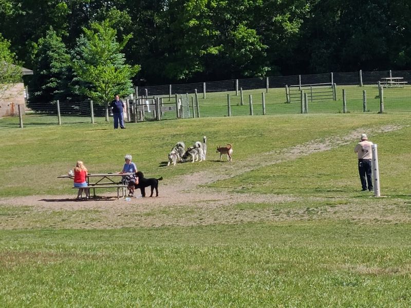 The Dog Park Rules You Actually Need to Know