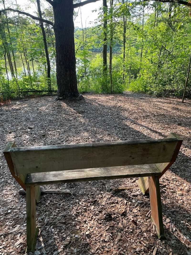 Practical Tips Before You Head Out