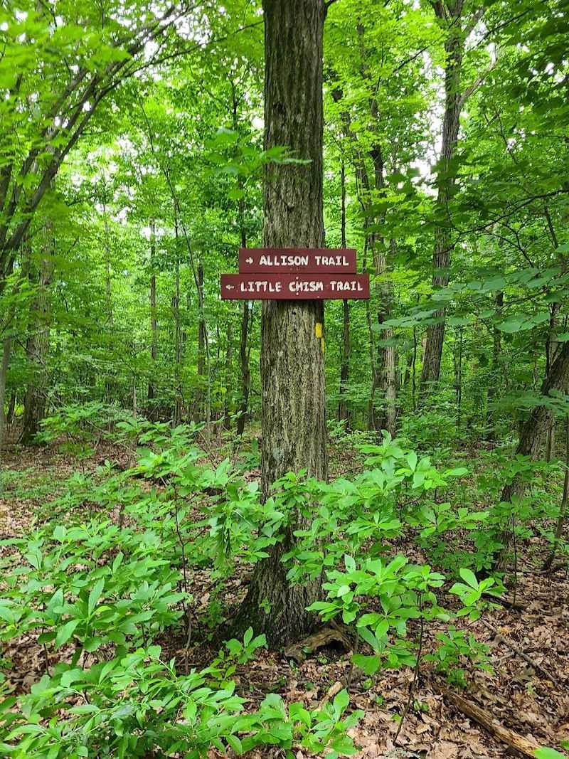 The Connection to the Long Path