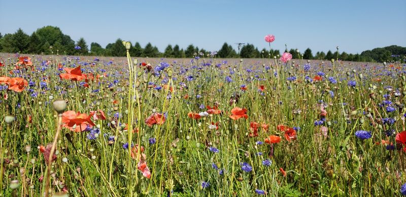 Simple tips that make the visit smoother