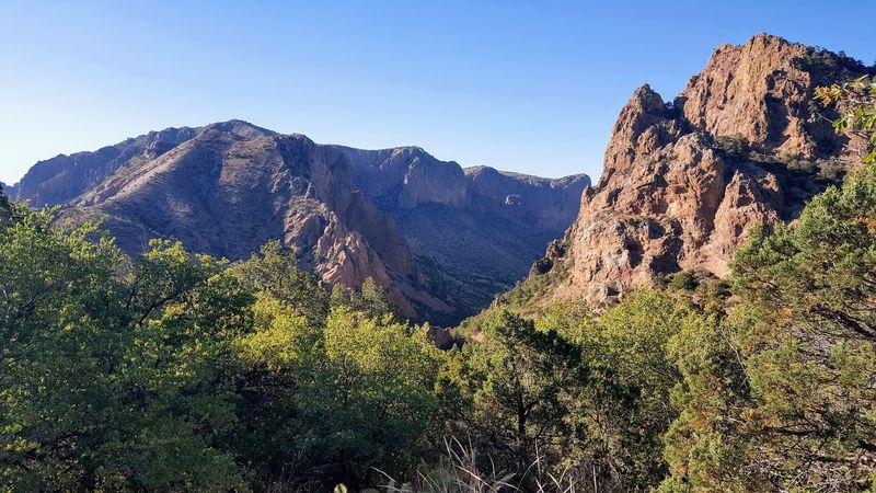 The Chisos Mountains and Their Unique Wildlife