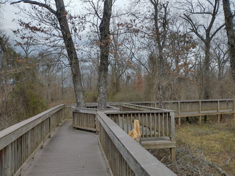 The Atmosphere That Sets This Trail Apart