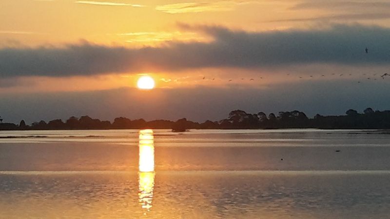 Cedar Key as a Destination