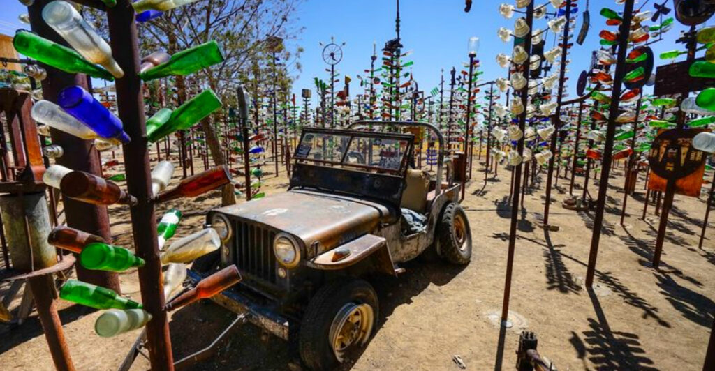 Hundreds of Glass Bottles Create Unique Forest at This California Route 66 Stop