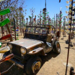 Hundreds of Glass Bottles Create Unique Forest at This California Route 66 Stop