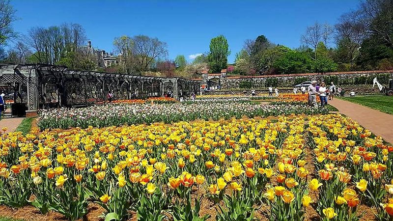 Butchart-Inspired Gardens (Biltmore Estate Gardens) — North Carolina