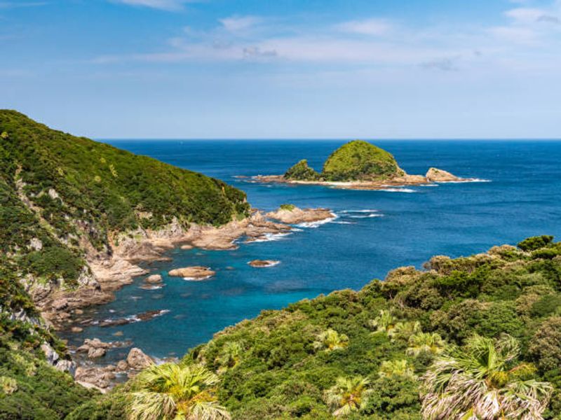 The Area Is a Sea Turtle Nesting Haven