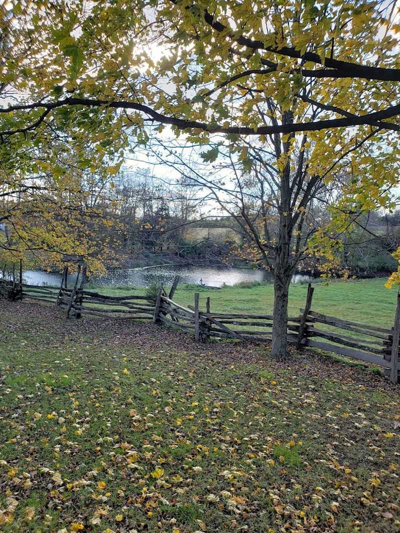 The Land Itself Is Worth Exploring