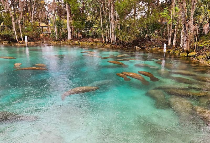 Three Sisters Springs
