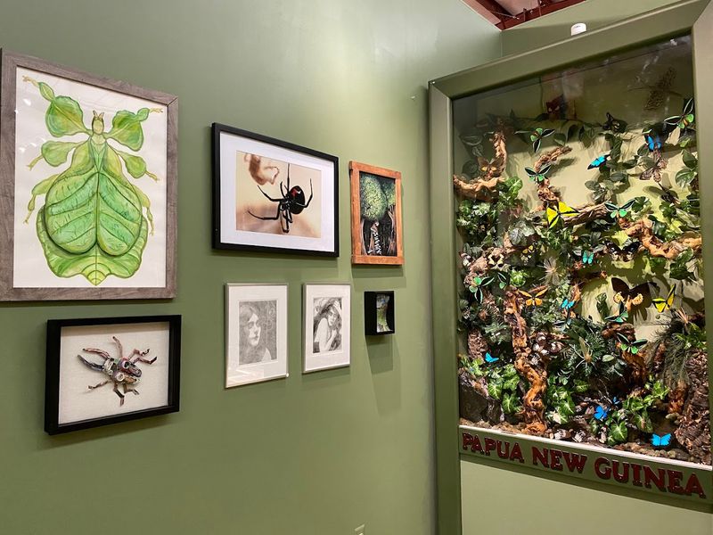 Pollinator Education and Ecological Context