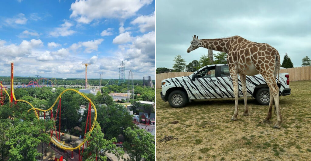 Inside the Massive Adventure Spot in Jackson Township Everyone Should Know About