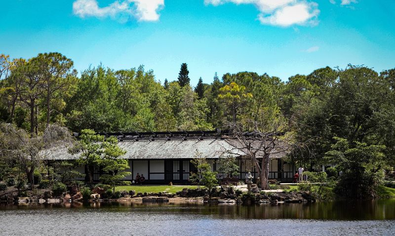 Cornell Cafe: Japanese-Inspired Bites With a Garden View