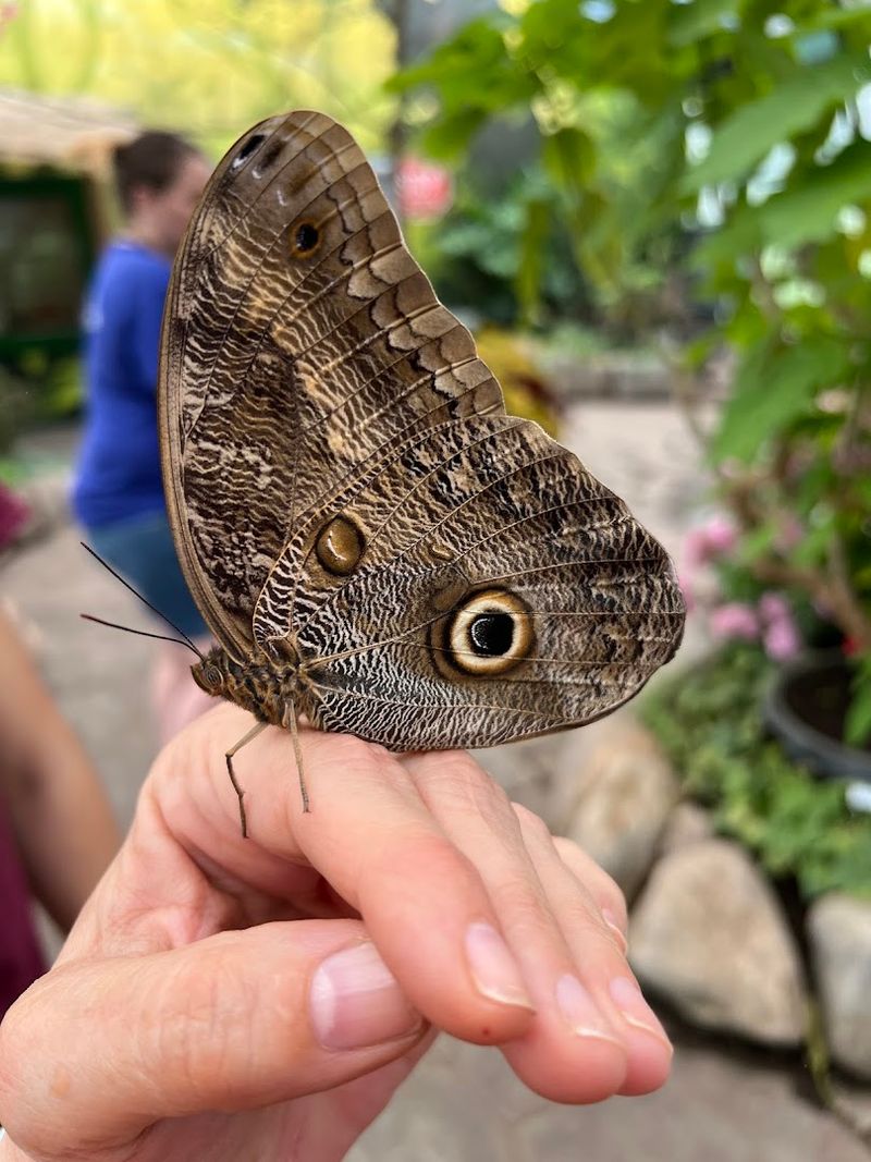 Why it feels so personal