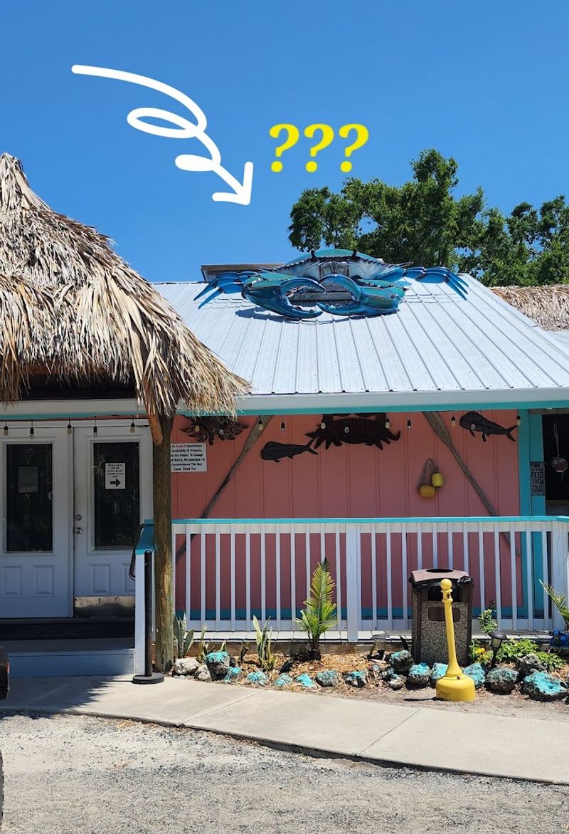 Hours, Location Tips, and When to Visit