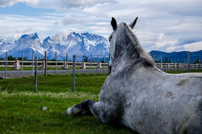 Torres del Paine, Chile