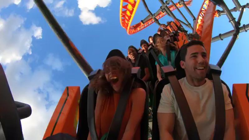Montu and Falcon's Fury: More Thrills Worth Your Time