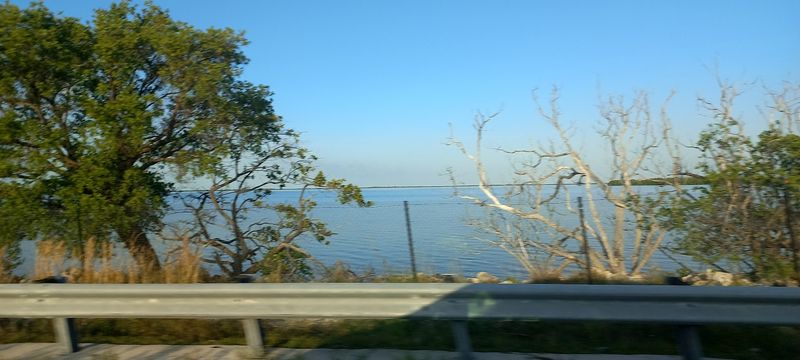 Marathon and the Turtle Hospital: A Surprising Roadside Discovery