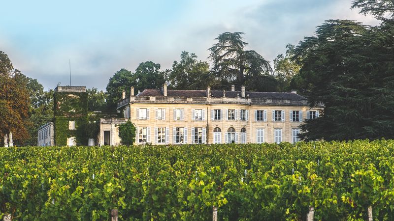 Médoc Villages – Countryside Wine Tranquility