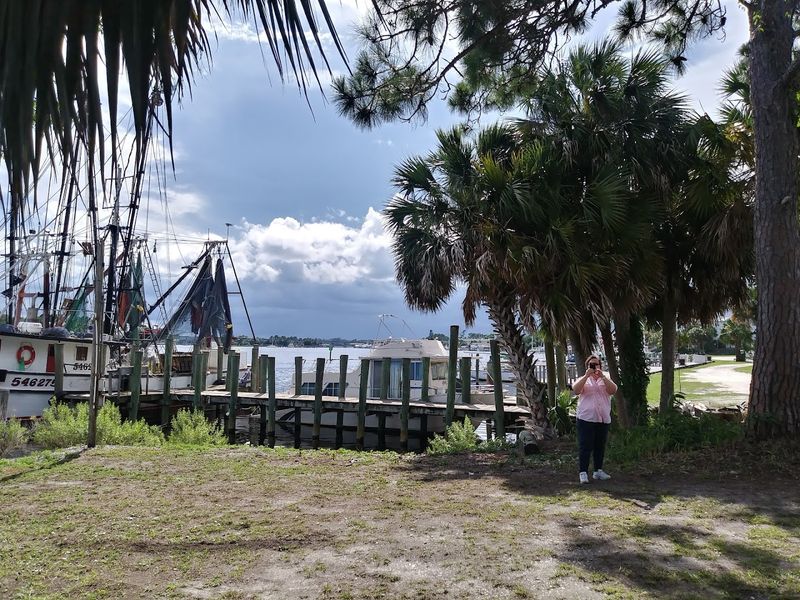 The Forgotten Coast Setting That Surrounds It