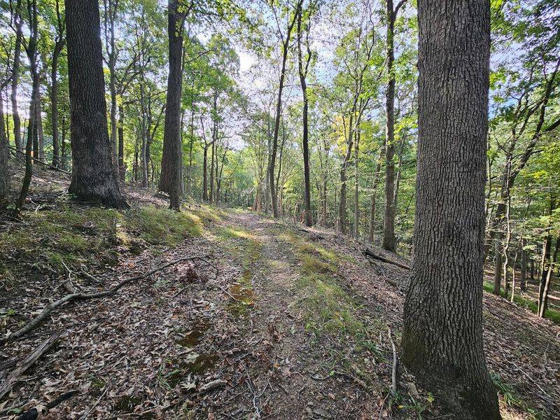 Schiff Nature Preserve (Mendham, Morris County)