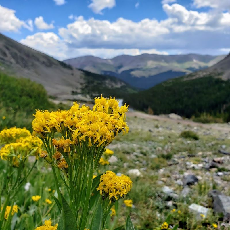 Blue Lakes, Colorado