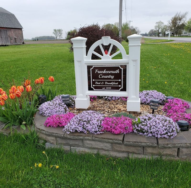 Ruby the Golden Doodle: The Unofficial Mascot