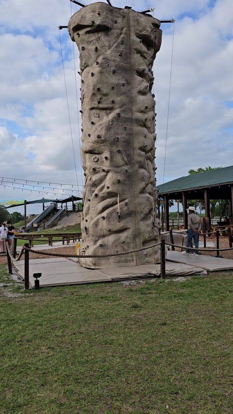 Rock Climbing Wall: Reach for the Sky