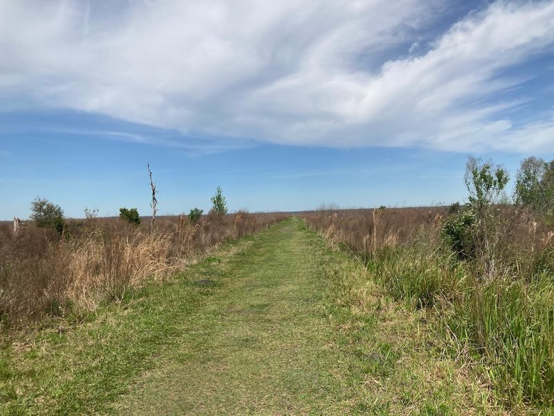 Paynes Prairie Preserve Trails (La Chua / Bolen Bluff)