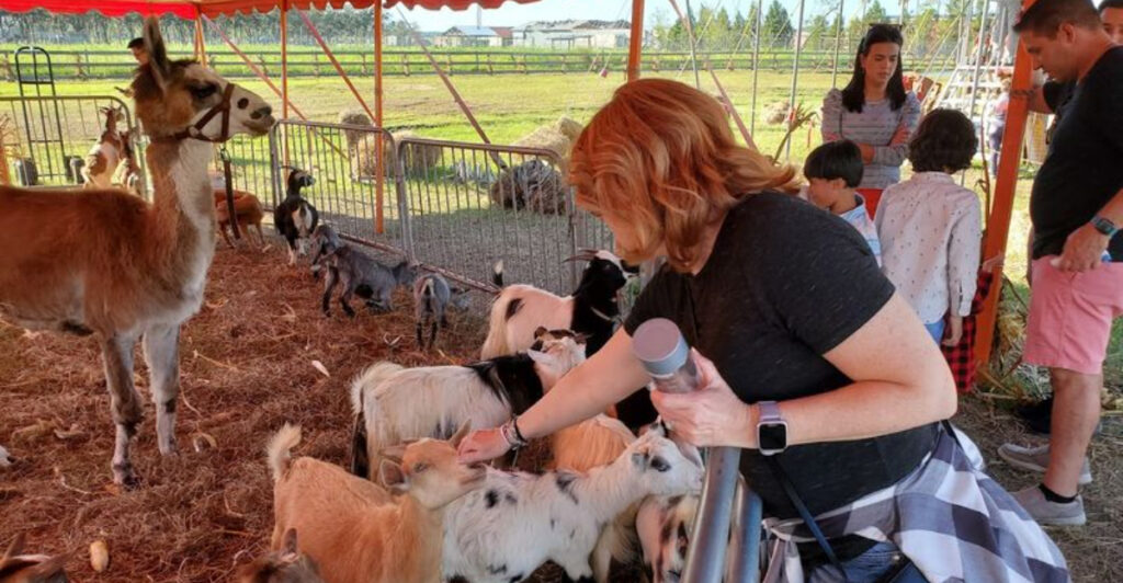 Just 1 Hour From Tampa, You Can Pet Mini Donkeys at This Family Farm
