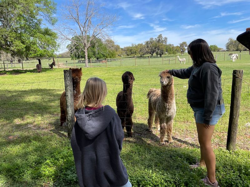 Where the Ranch Actually Is