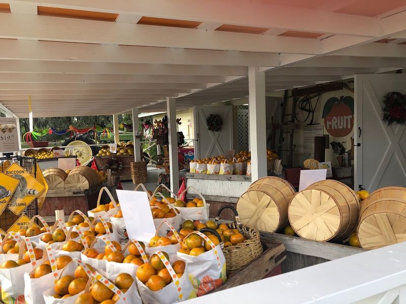 Where to Find This Hidden Citrus Gem