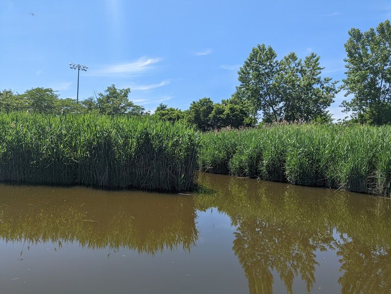 The Hackensack River Watershed Up Close