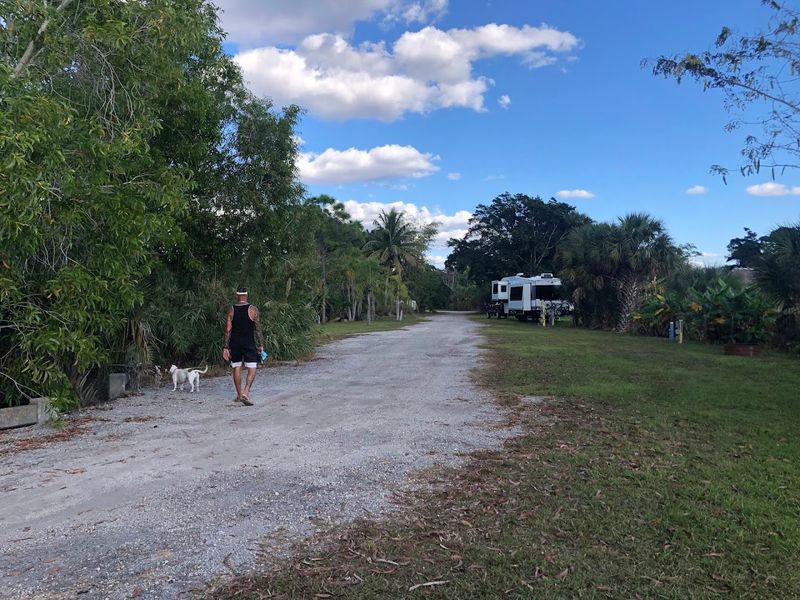 Camping Under the Everglades Sky