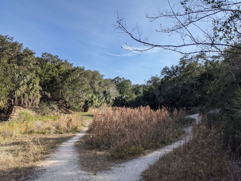 Hiking Trails: Quiet Paths Through Coastal Scrub and Maritime Forest