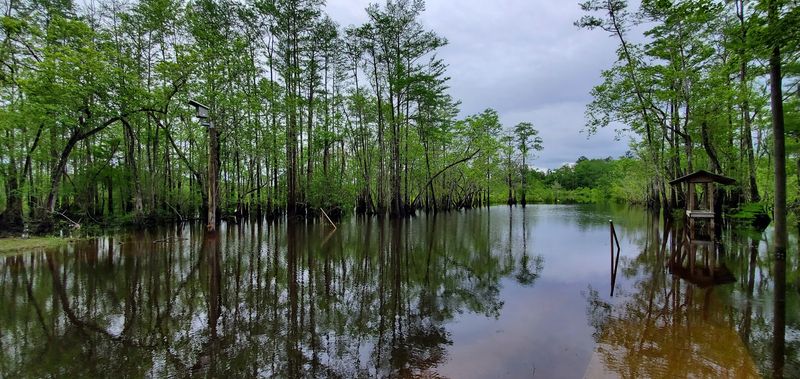 The Wildlife That Calls This Place Home