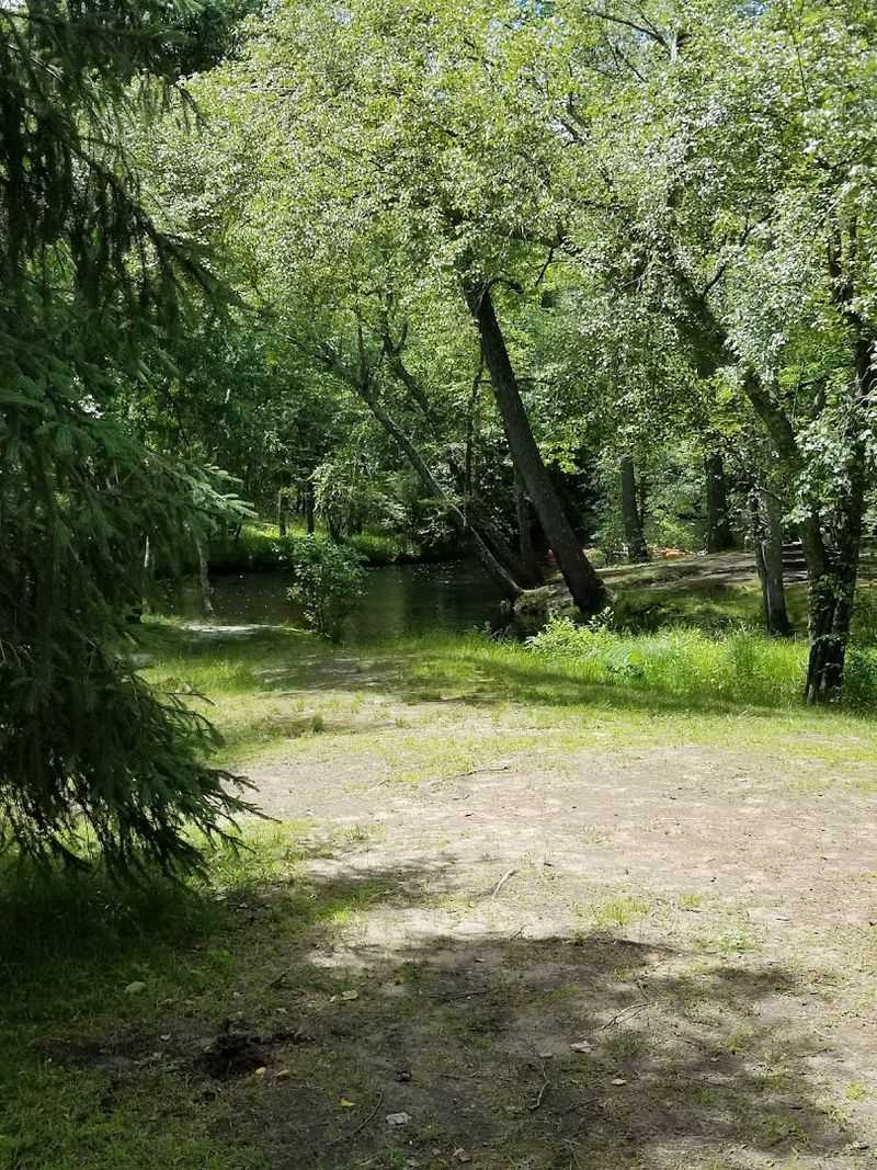 The Hiking Trails Through the Pines