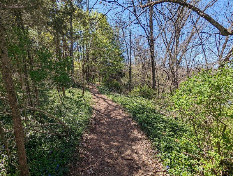 The Main Trail and What to Expect on Foot