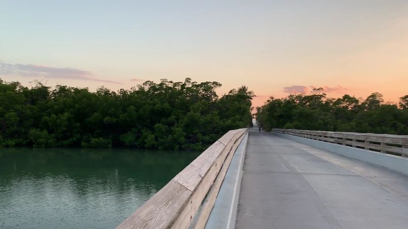 Biking Around the Park Roads and Paths