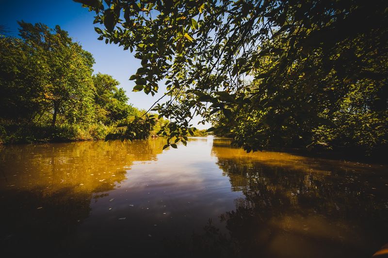 Wildlife and Nature Along the Riverbanks